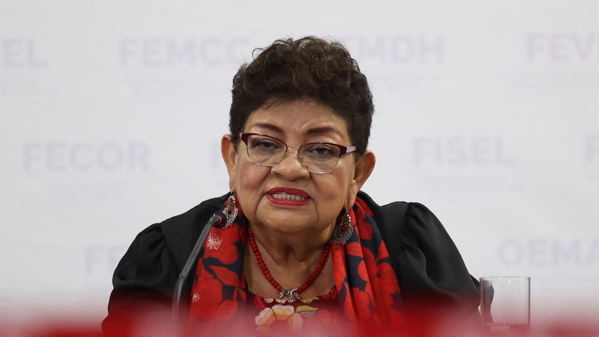 Ernestina Godoy, la protectora