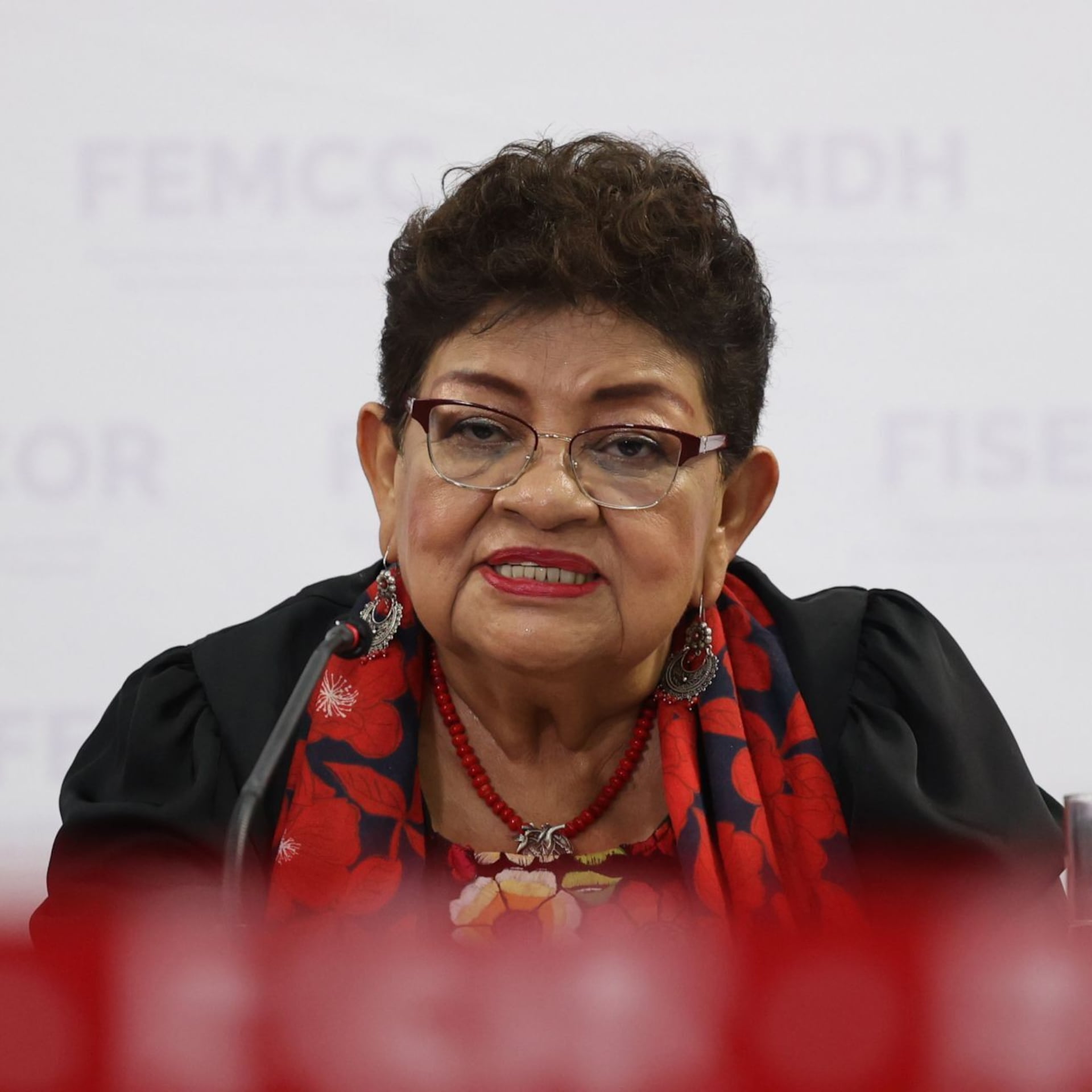 Ernestina Godoy, la protectora