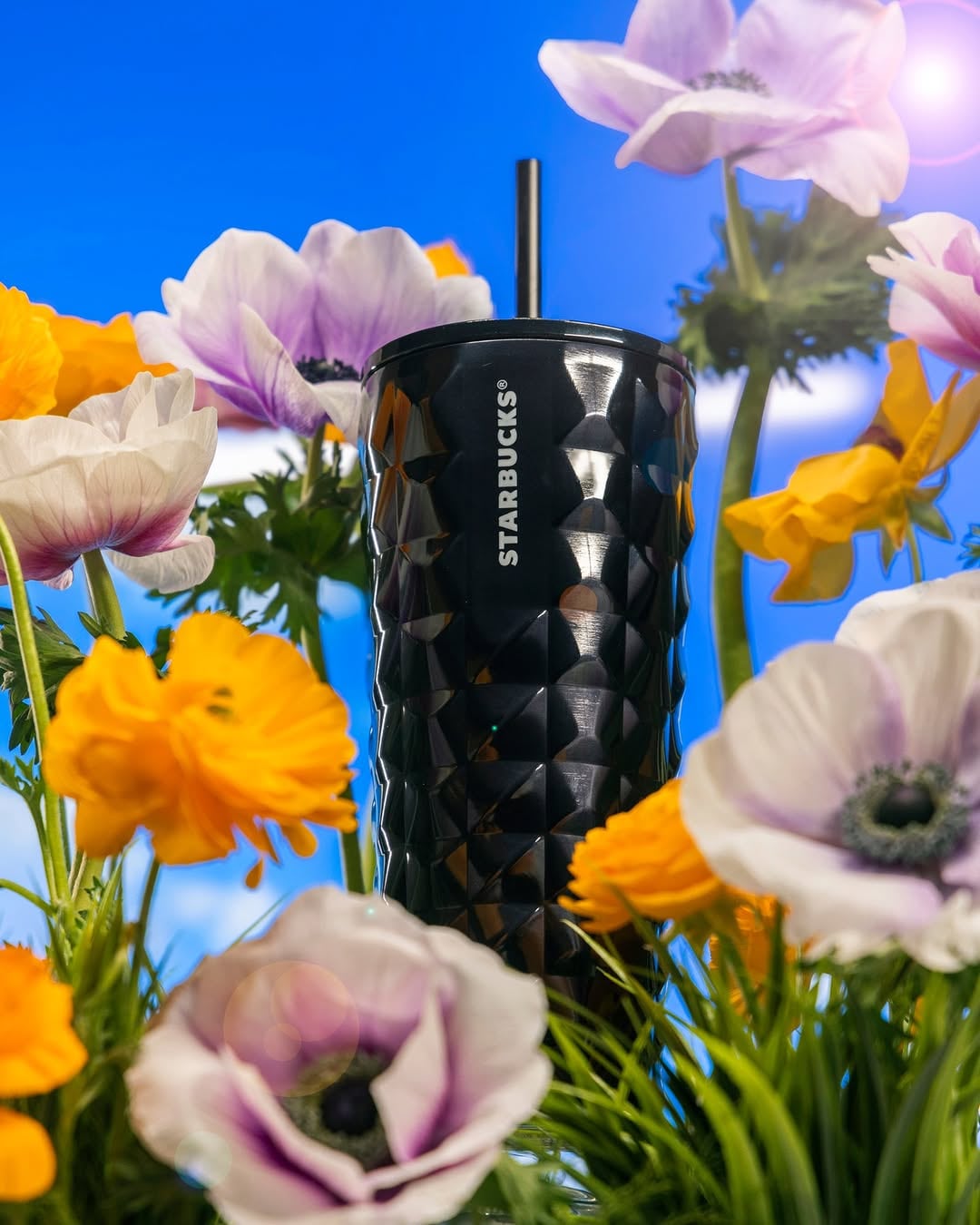 Vasos y termos de Starbucks: Colección primavera 2025