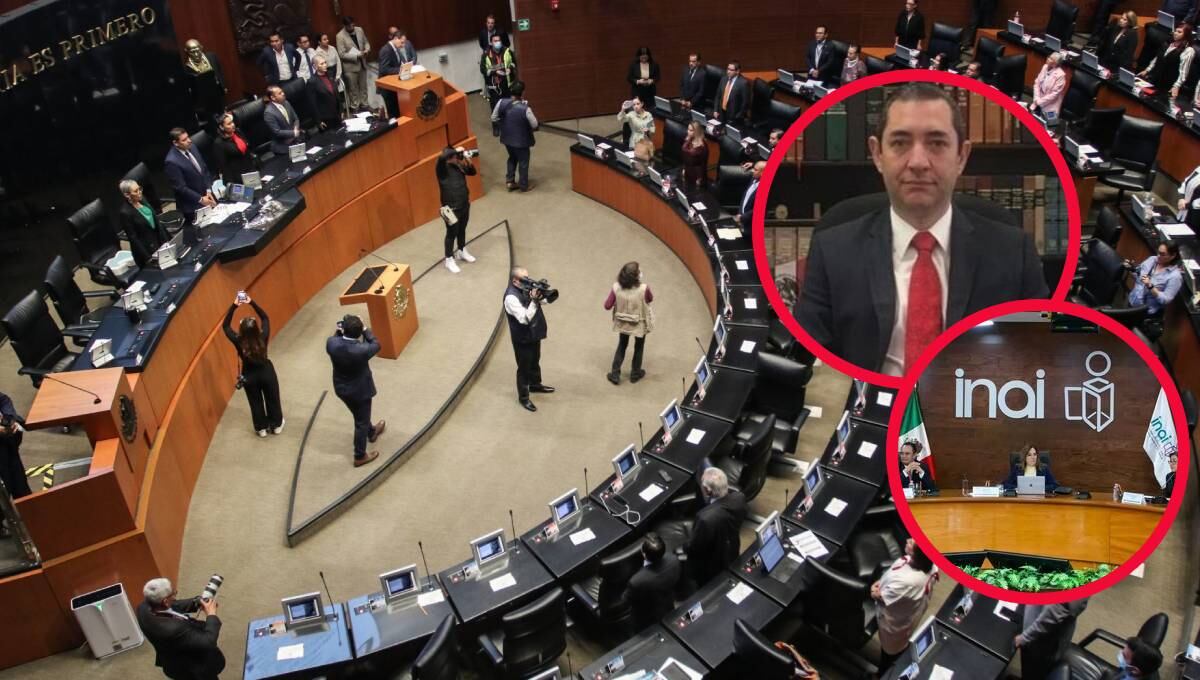 Cámara de Senadoresanaliza nombramiento de Ricardo Salgado como comisionado del INAI