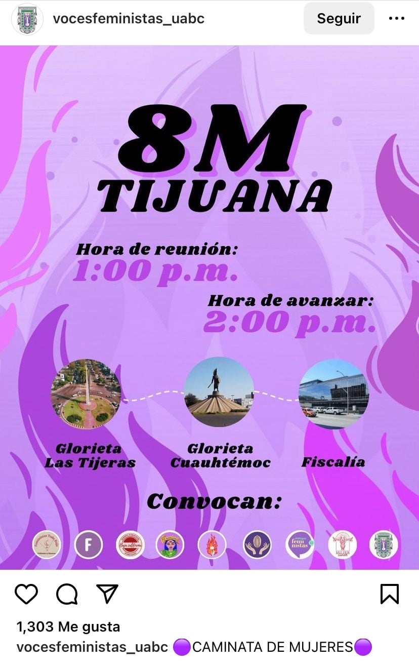 Marcha 8 de marzo 2024 en otros estados