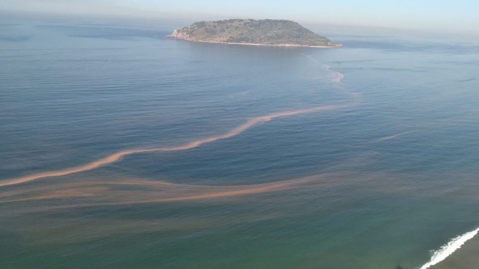 ¿Hay marea roja en Mazatlán, Sinaloa? esto es lo que sabemos