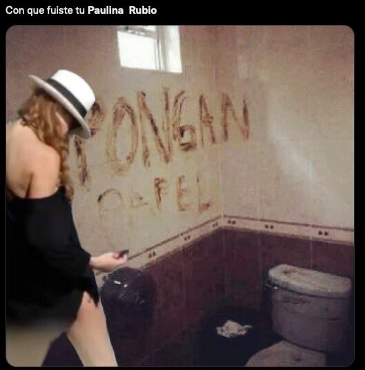 Memes de Paulina Rubio 'defecando' en la playa.