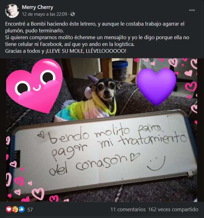 Las ganancias de la venta serán destinadas para el tratamiento del corazón del perro Bombi