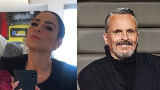 Asalto a la casa de Miguel Bosé desata modus operandi que la exmánager de Alejandra Guzmán ya conoció