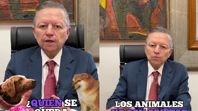 ¿Con quién se queda el perro en un divorcio? Arturo Zaldívar responde en TikTok (VIDEO)