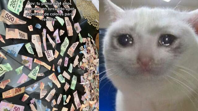 VIDEO: Su prima recortó los “papelitos de colores” que encontró; eran sus ahorros y TikTok está llorando con él