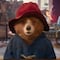 Paddington: Aventura en la Selva revela cuándo se estrena en México en Cinemex y Cinépolis