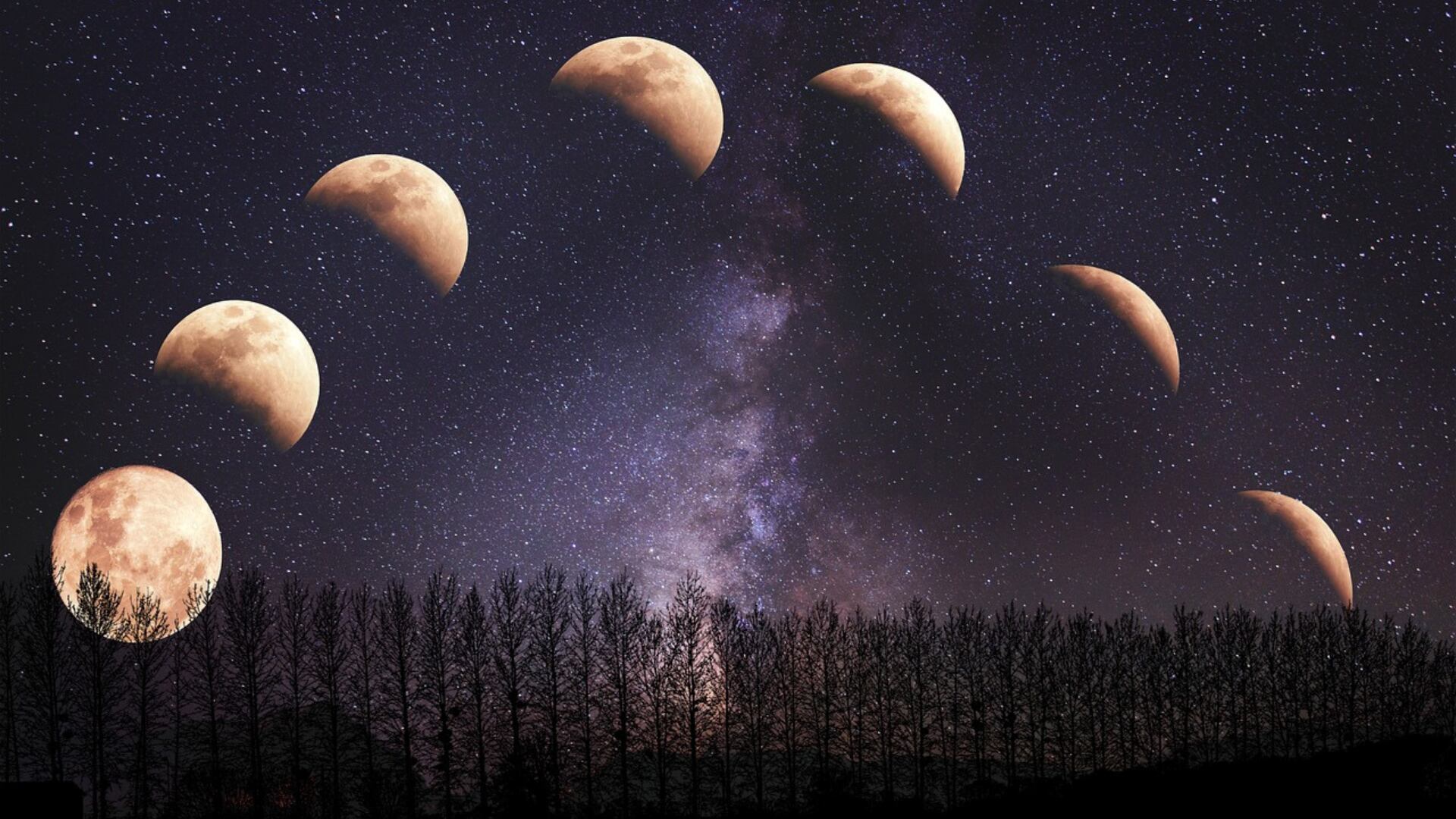 Fases de la luna