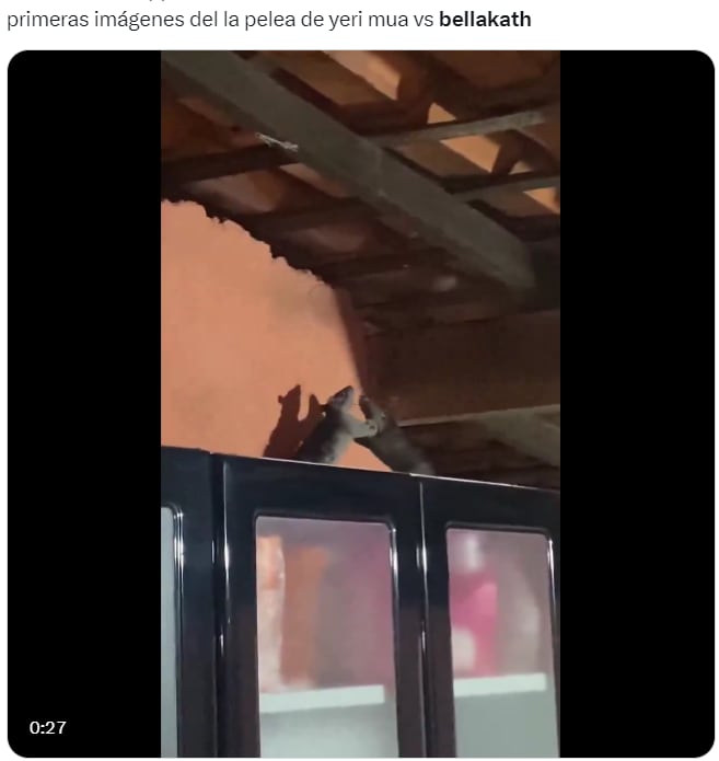 Memes de Bellakath vs Yeri Mua