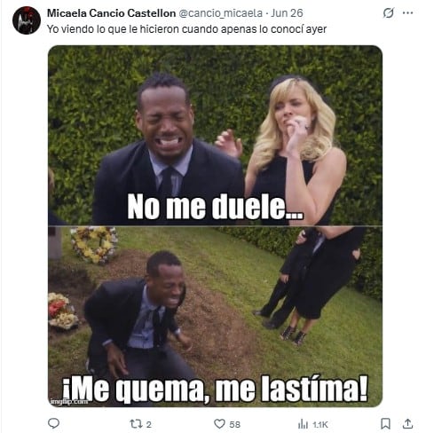 Memes de The Tiny Chef Show