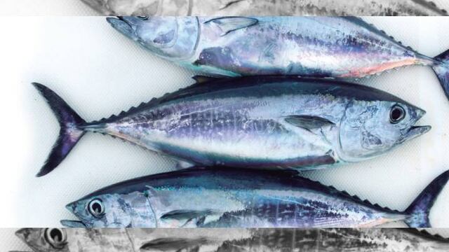 Si quieres evitar las arrugas y tener una piel más suave y tersa, la vitamina A y Omega3, presentes en pescados azules te ayudarán.