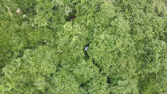 Dron halla a adulto mayor desaparecido