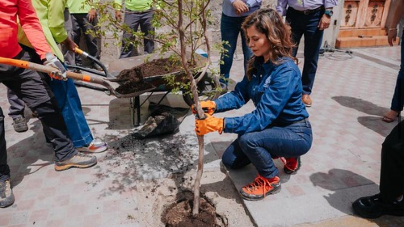 Verónica Delgadillo presentó plan de arbolado urbano para convertir a Guadalajara en la ciudad más verde de México