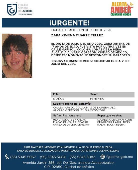 Ficha de búsqueda de Zara.