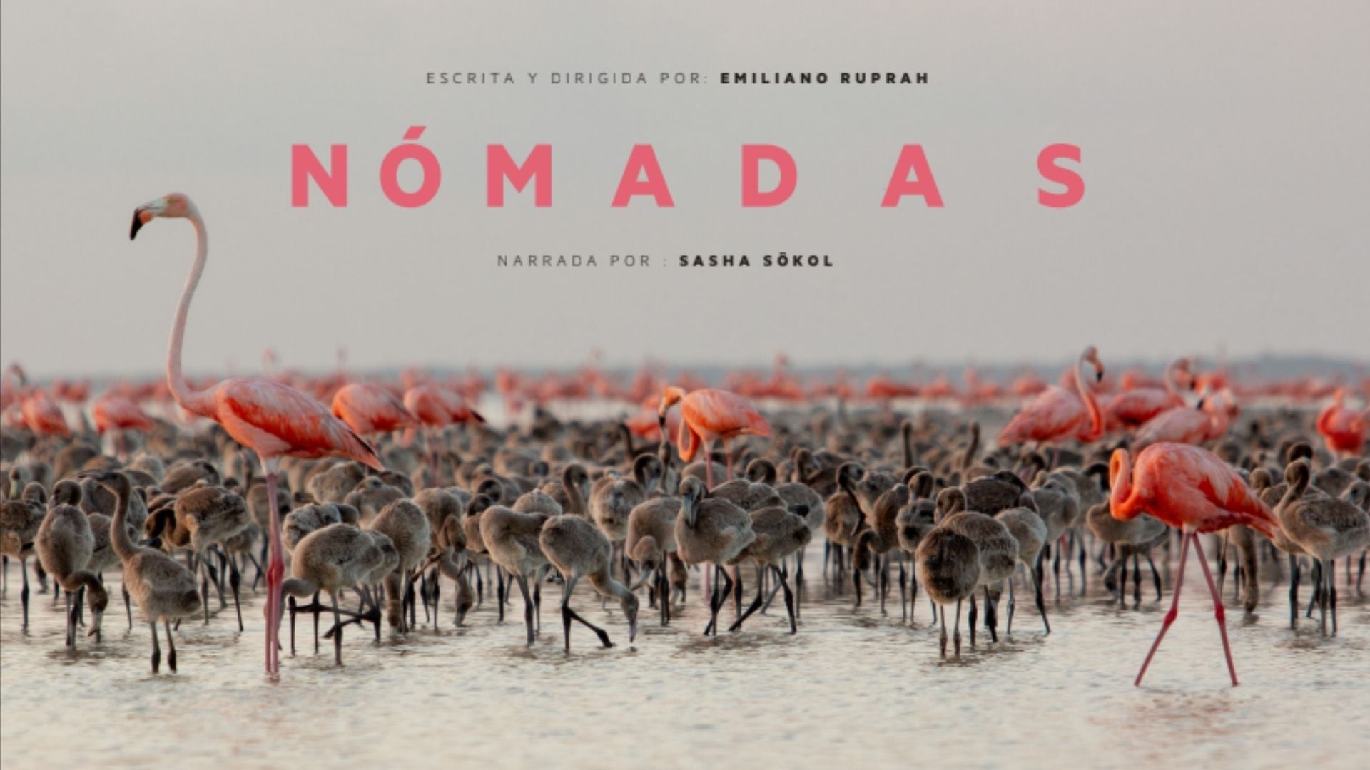 'Nómadas', película inaugural del festival