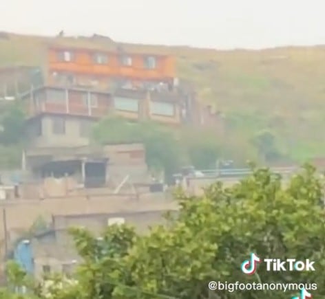 Video de TikTok