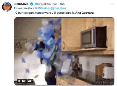 Memes de Ana Gabriela Guevara