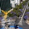 ¿Jacarandas florecieron antes de tiempo en CDMX? Esta sería la triste respuesta