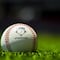 Equipo de la liga mexicana de beisbol deja en el abandono a sus empleados por no pagarles