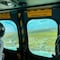AMLO acusa campaña contra el Tren Maya; sólo se impactarán 100 hectáreas, aclara