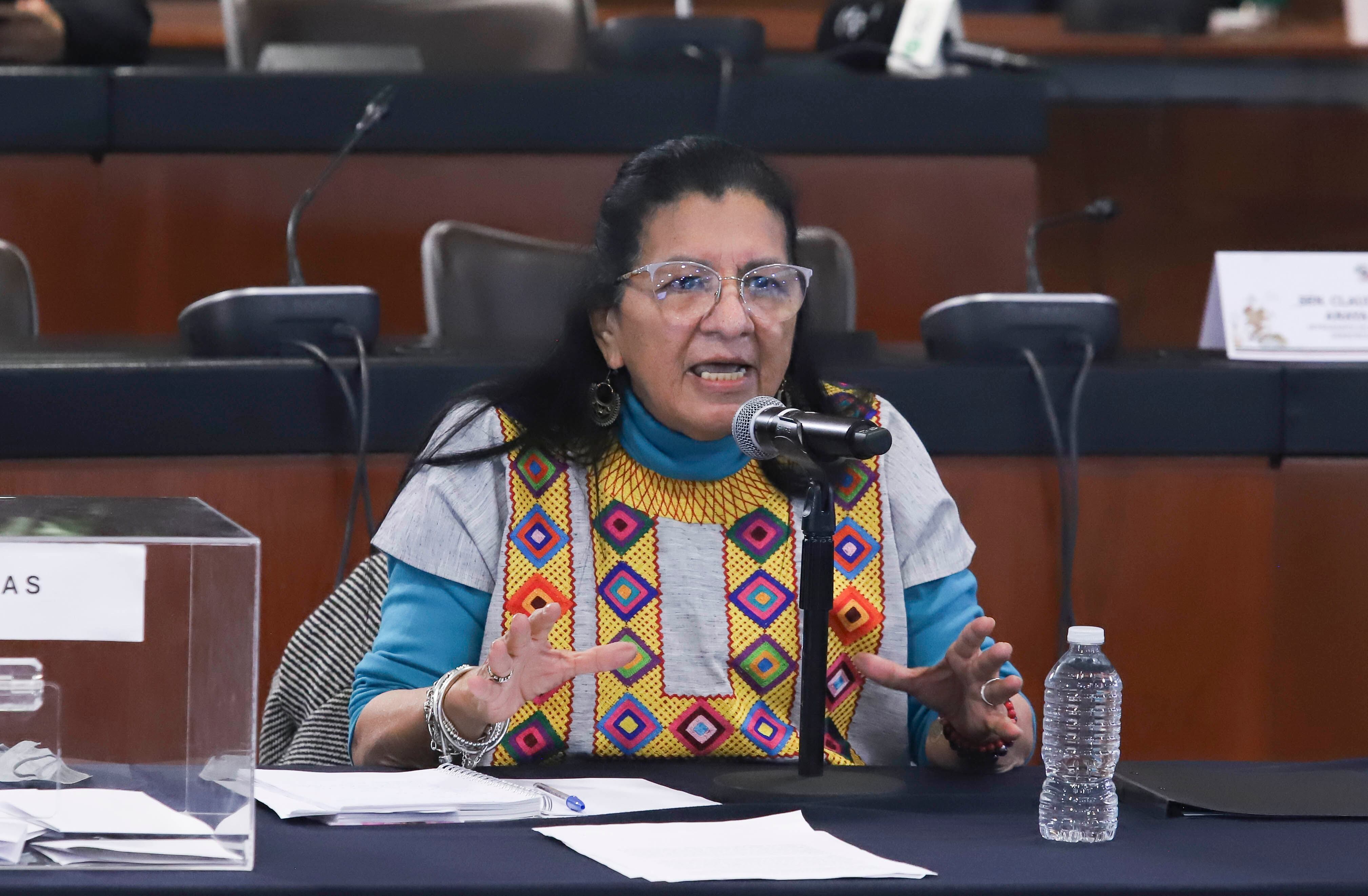 Nashieli Ramírez en comparecencia en el Senado