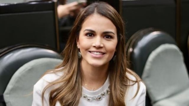 Lorena de la Garza, diputada del PRI opositora de Samuel García