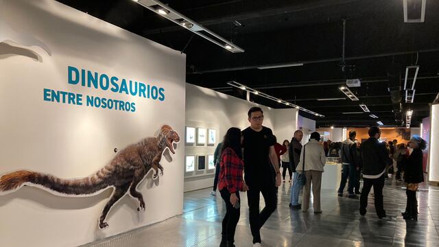 Dinosaurios entre nosotros: Dónde, cuándo y precio del boleto para la exposición de la UNAM