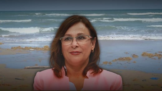 Rocío Nahle minimiza impacto de hidrocarburos en playas de Veracruz