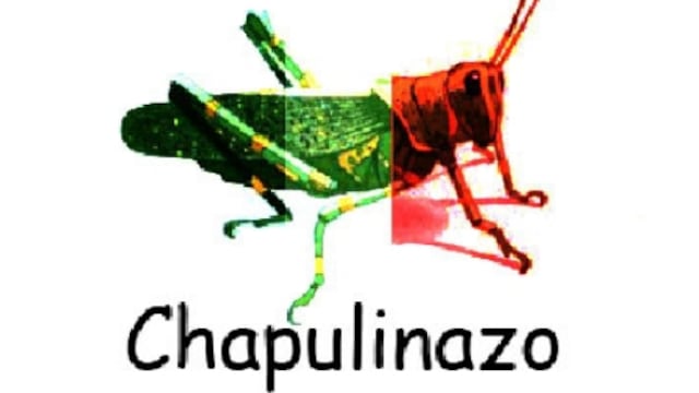 Los chapulines ya no solo viven en el Bosque de Chapultepec..