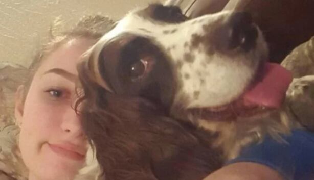 Familia se turna para dormir con Spike