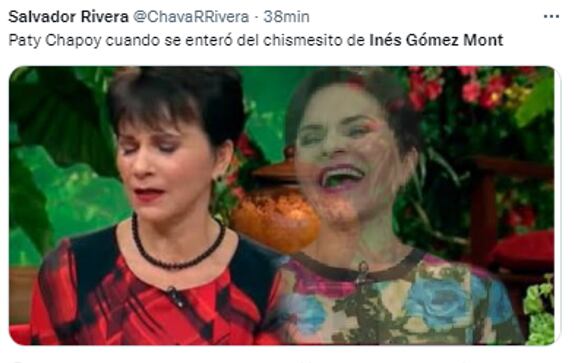 Memes Inés Gómez Mont