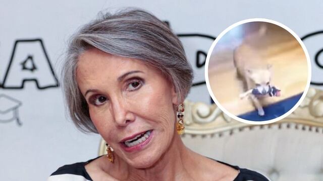 Florinda Meza ‘vengándose’ de Quico con ayuda de su perro