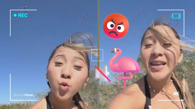 Tiktoker Elisa La Yuca invadió hábitat de flamencos en Sisal, Yucatán