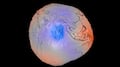 ¿Cambió la forma de la Tierra? Imagen de la NASA genera dudas en redes sociales