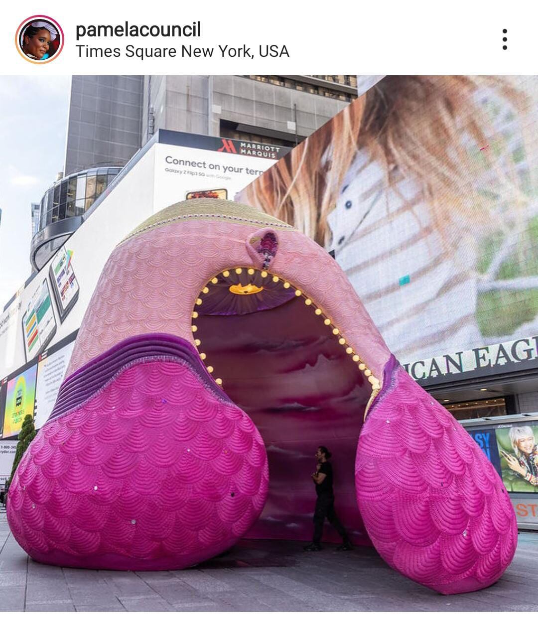 @pamelacounsil/Instagram