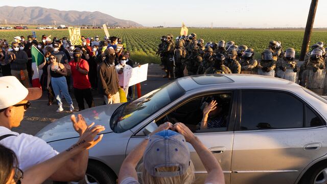 Agentes de ICE y Guardia Nacional hacen redada en granja de California, Estados Unidos