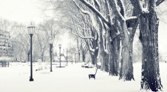 invierno