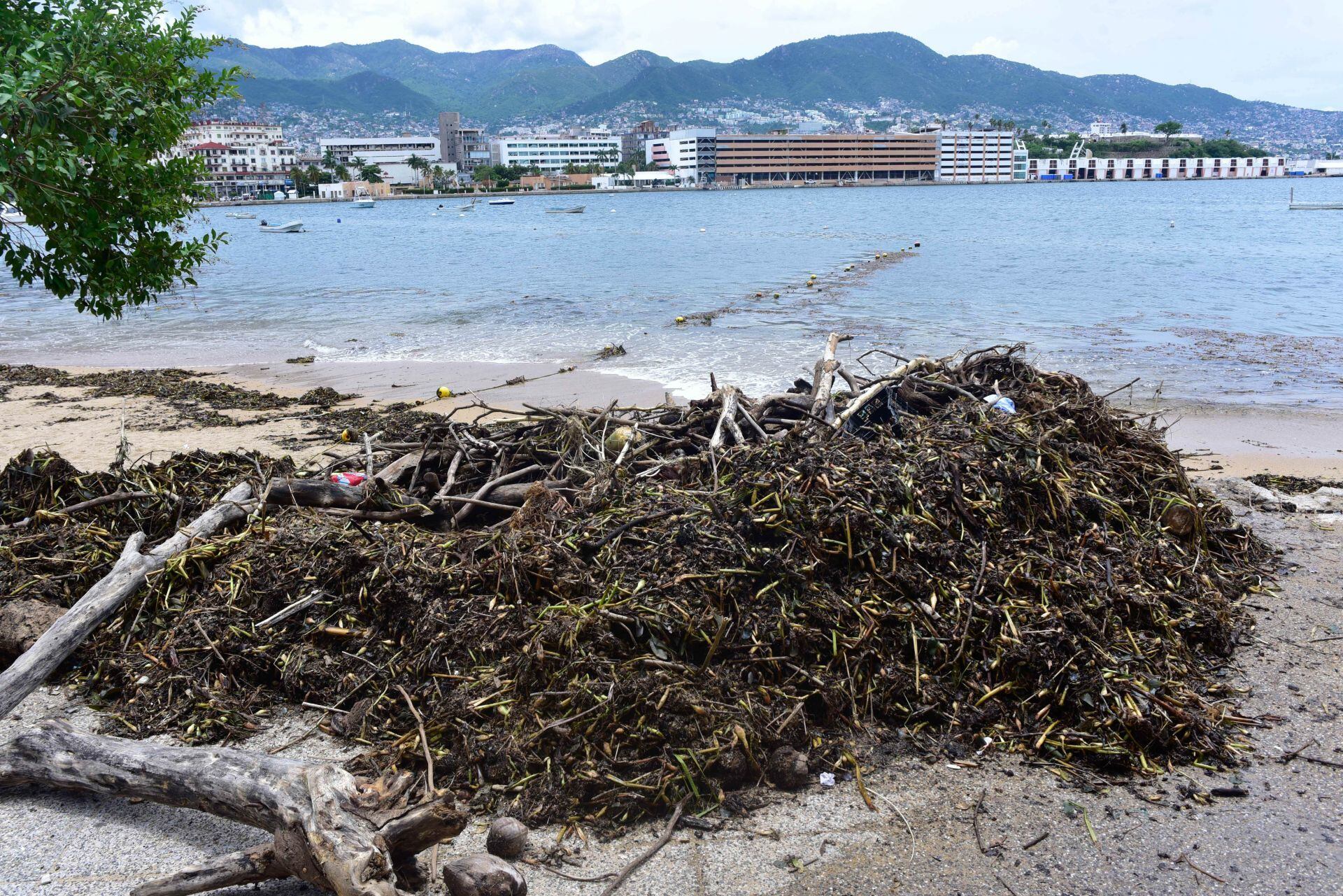 El problema que ataca playas de Acapulco a poco de las vacaciones de verano 2025.