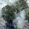 Las 3 recomendaciones para prevenir incendios forestales en el Estado de México