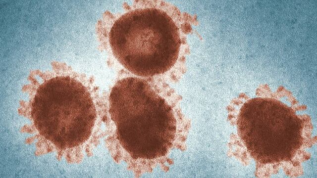 Virus