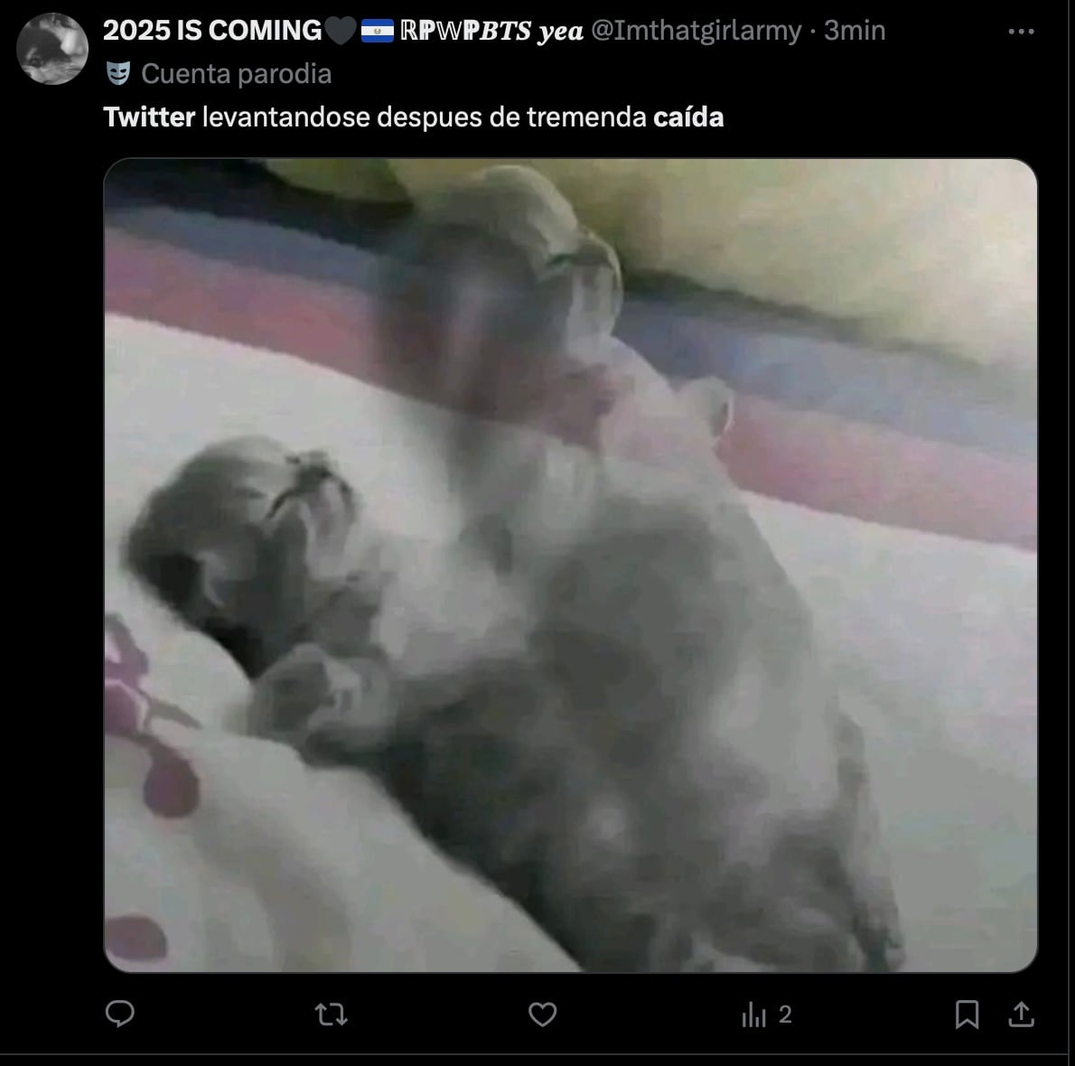 ¿Y los memes? La caída de X, antes Twitter, reveló los mejores cuando se restableció la red social