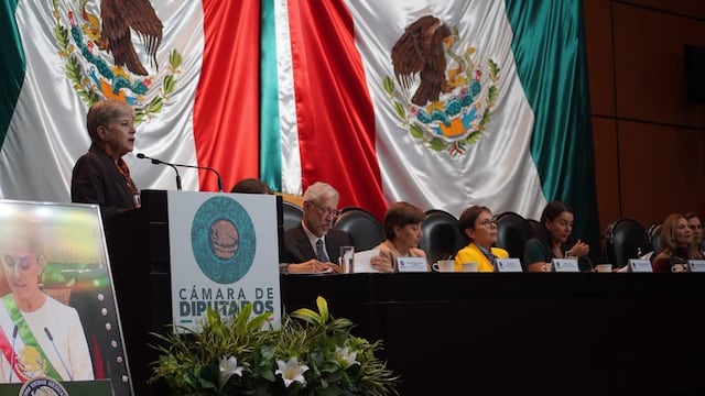 Rosaura Ruiz comparece ante la Cámara de Diputados en materia de medio ambiente