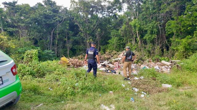 Unidades Verdes de Siresol