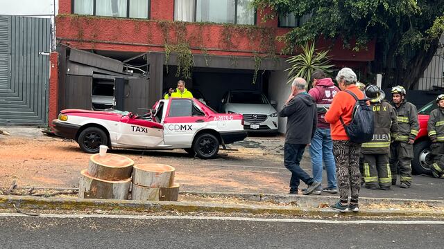 Los vientos fuertes en CDMX tiraron árboles y uno aplastó a un taxi