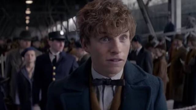 Película "Animales Fantásticos y Dónde Encontrarlos"