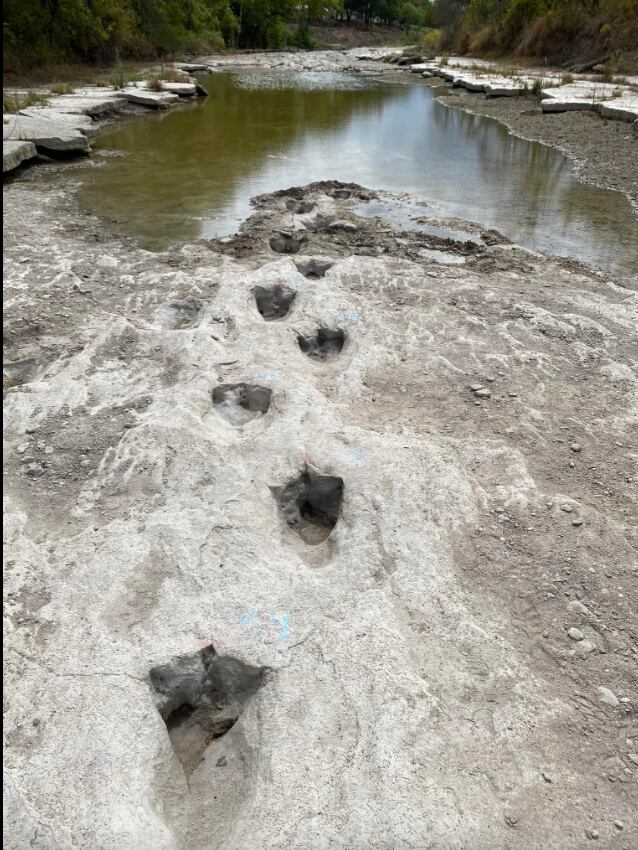 Huellas de dinosaurios en Texas