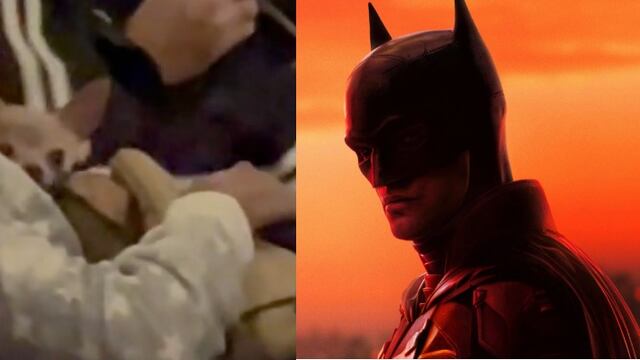 Perro quería ver 'The Batman' y se mete al cine a escondidas