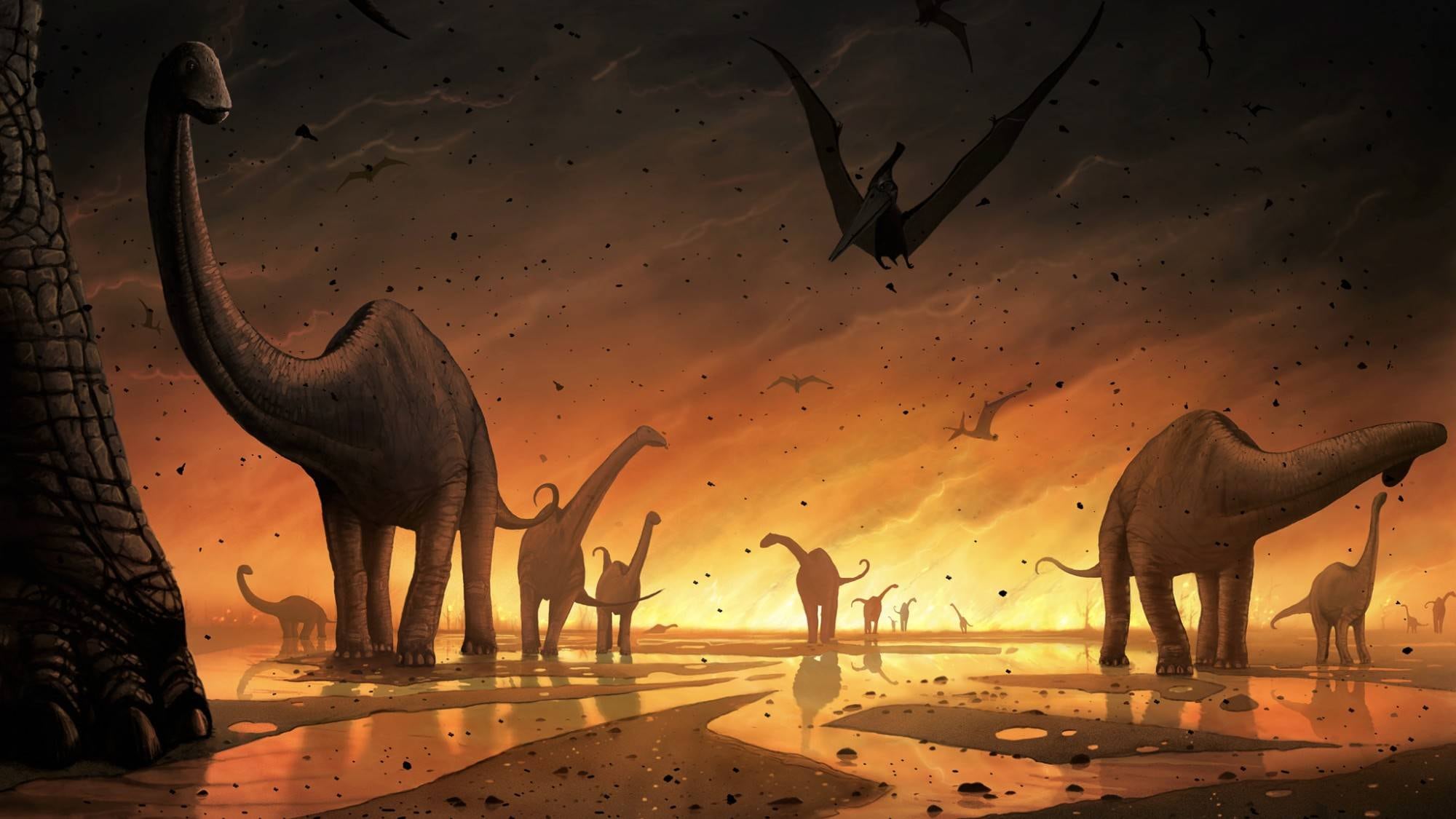 Extinción de dinosaurios