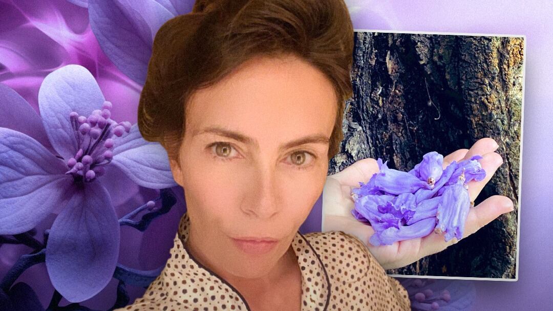 Sasha Sokol acusa a Luis de Llano de hacerse pasar por víctima de sus propios actos con poderoso mensaje por el 8 de marzo